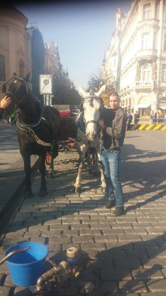 ���������� �����-���������, ���� ������� �������, 39 ���, ������������ ��� ������, ����� � ���������, c�������� ���������