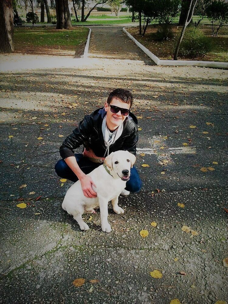 ���������� �����������, ���� ������� Vik, 35 ���, ������������ ��� ����� � ���������, c�������� ���������