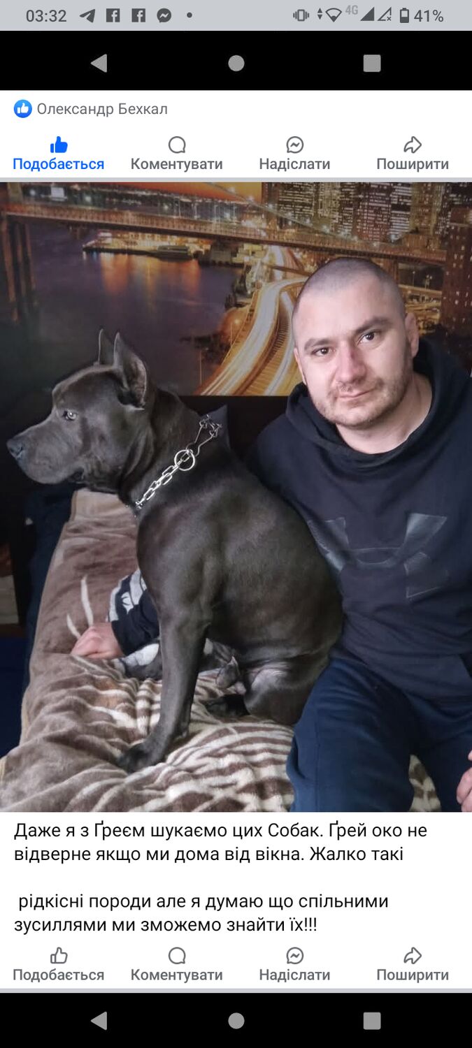 ���� 55898748 ������� ���������, 35 ���, ���� ���������� � �����