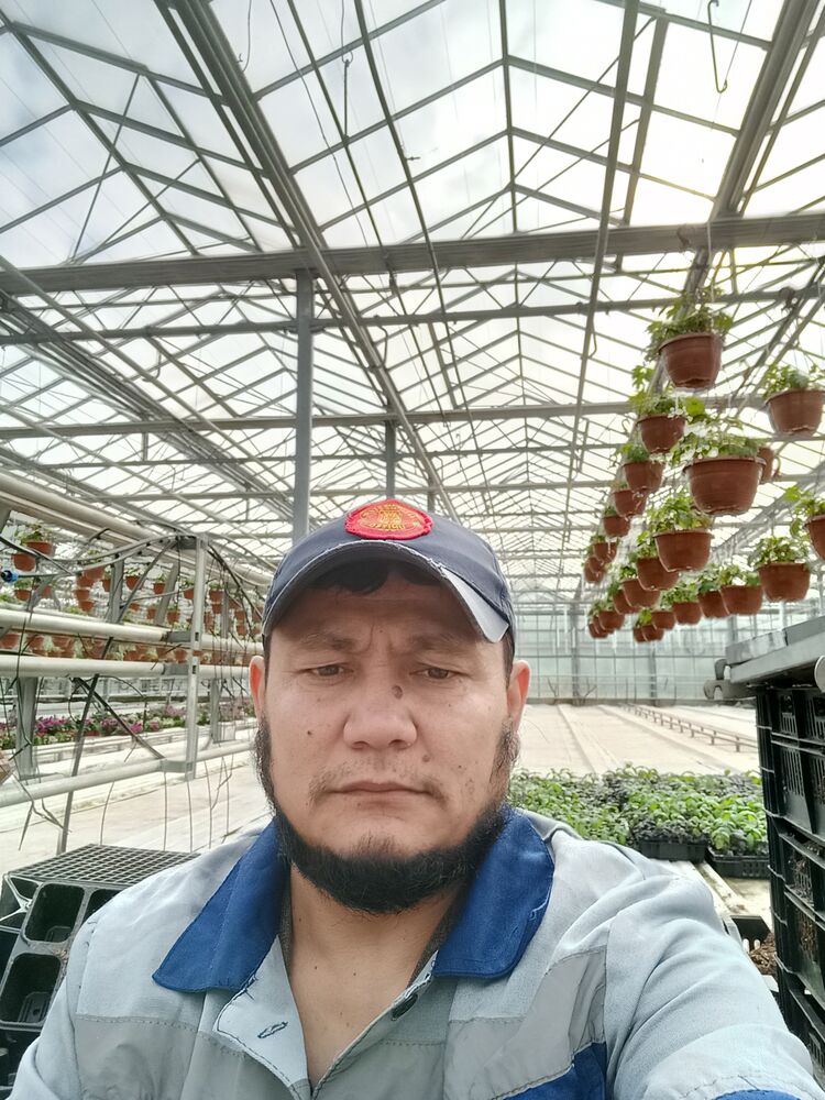  -,   , 41 ,   ,   