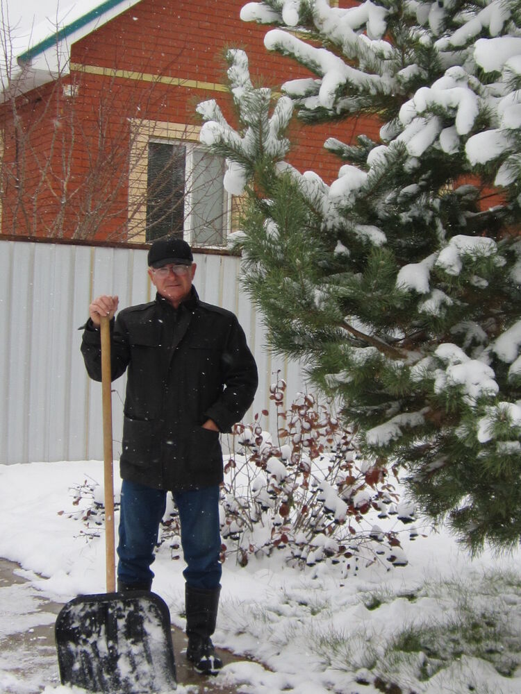 ���� 55156008 ������� ������, 55 ���, ���� ���������� � ���������