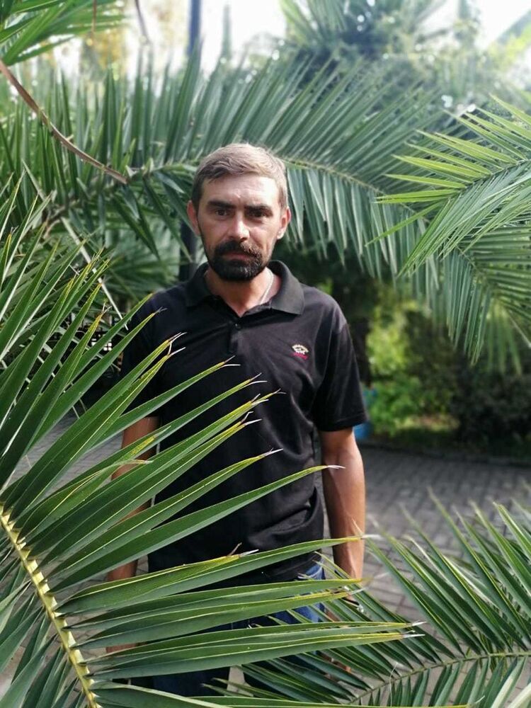 ���������� ���������, ���� ������� ��, 43 ����, ������������ ��� ������, ����� � ���������, c�������� ���������