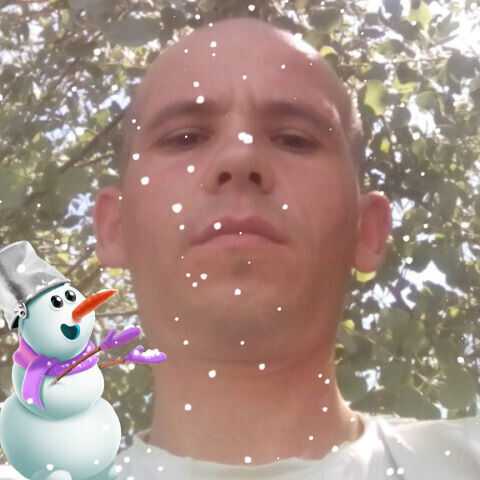  22394268  , 40 ,    