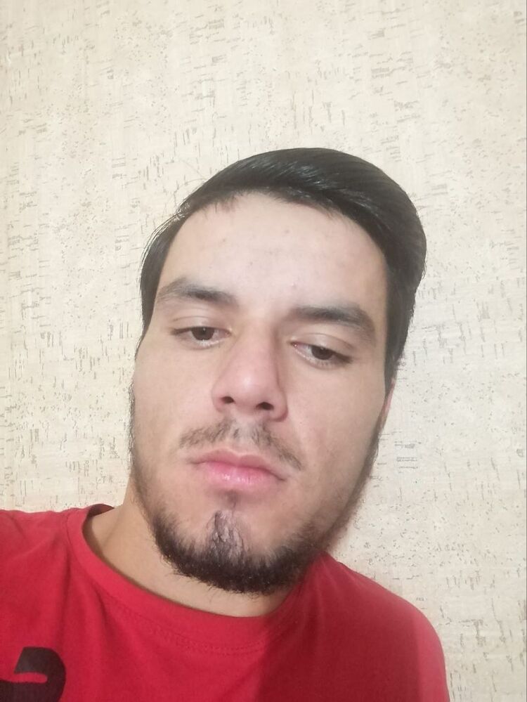  44645578    , 24 ,    