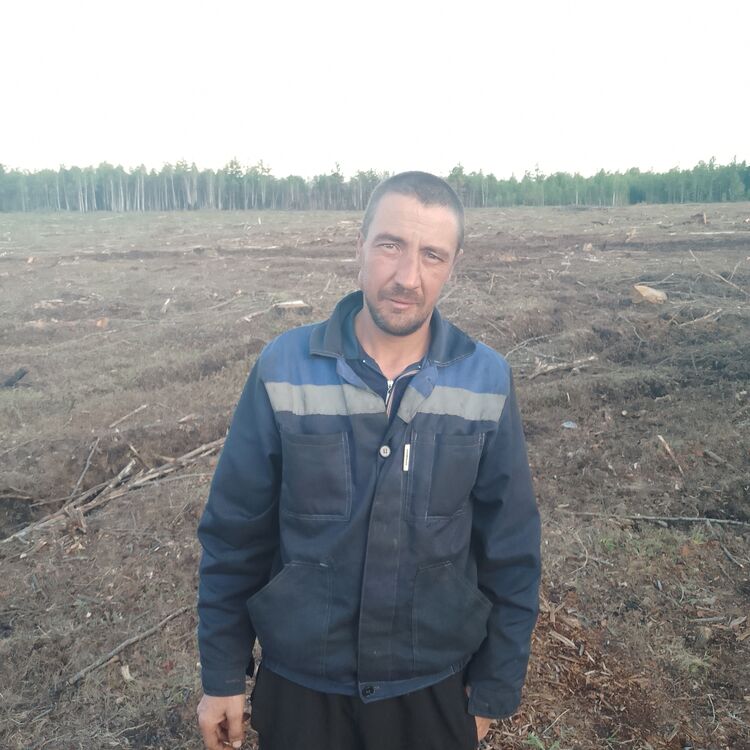 ���� 43941178 ������� �������, 41 ���, ���� ���������� � ������