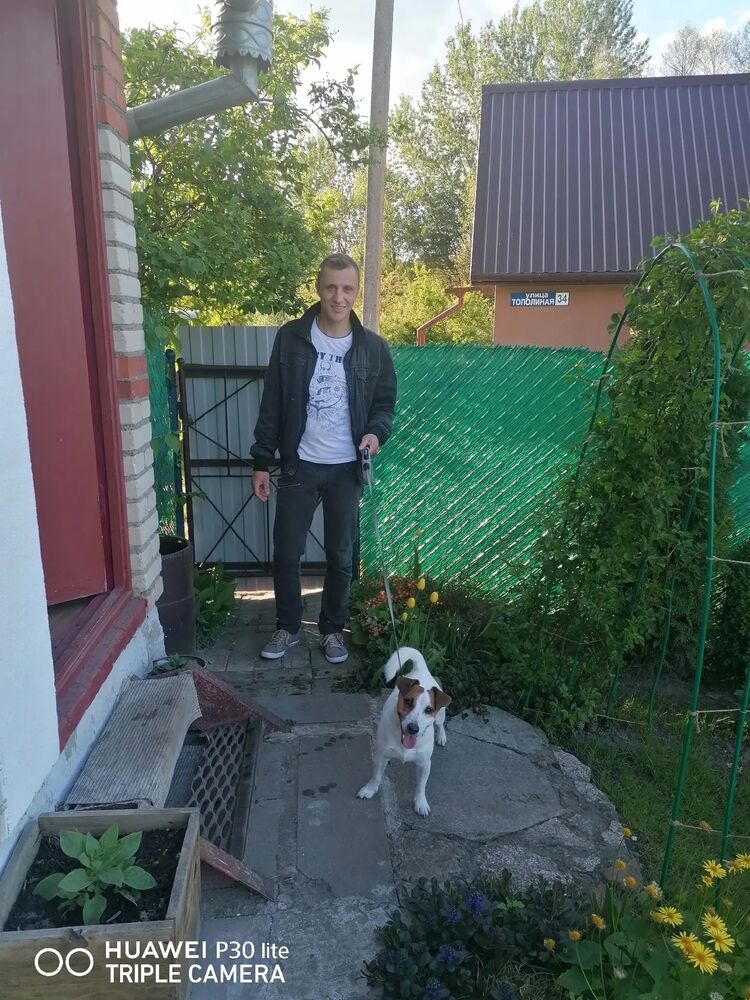 ���� 55388978 ������� ����, 35 ���, ���� ���������� � ������