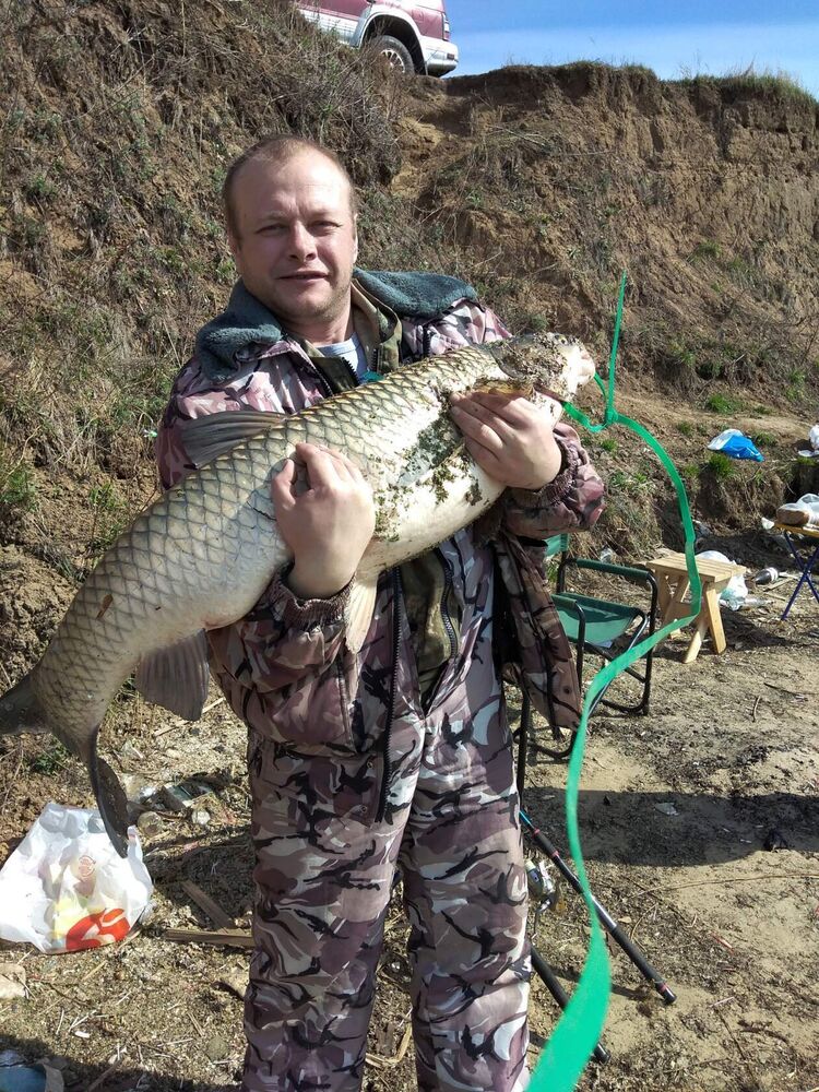 ���������� ������, ���� ������� �������, 46 ���, ������������ ��� ������, ����� � ���������, c�������� ���������, ���������