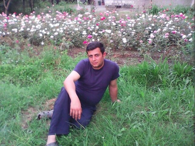 ���� 6393388 ������� Kral, 48 ���, ���� ���������� � ����