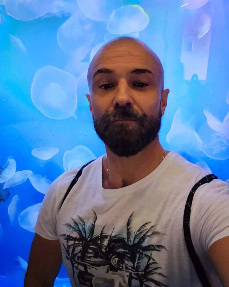  51046178  , 38 ,    