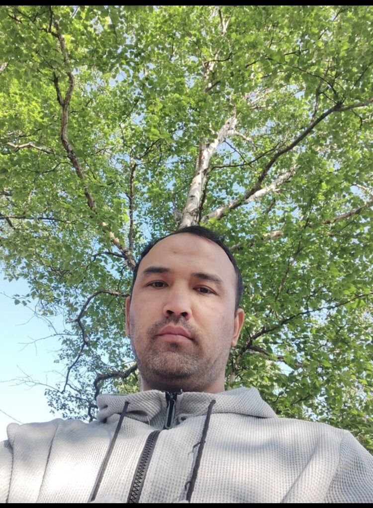  52213318  , 31 ,    -