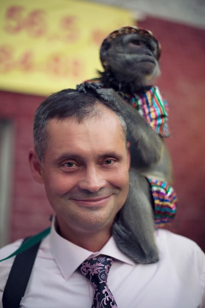 ���������� ��������, ���� ������� ������, 46 ���, ������������ ��� ������, ����� � ���������, c�������� ���������