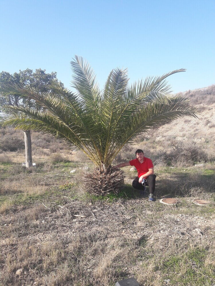 ���� 22266358 ������� ����, 43 ����, ���� ���������� � ������