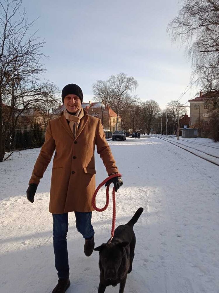 ���������� �����������, ���� ������� �������, 50 ���, ������������ ��� ������, ����� � ���������