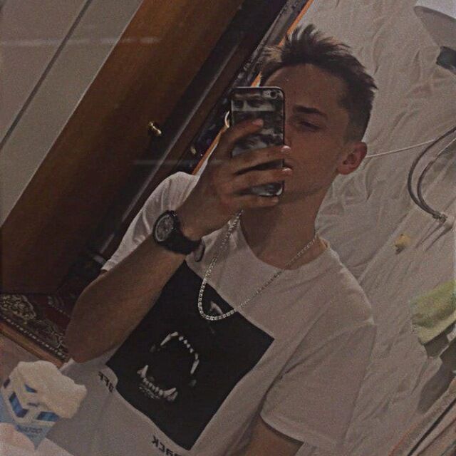  32736178  , 24 ,    
