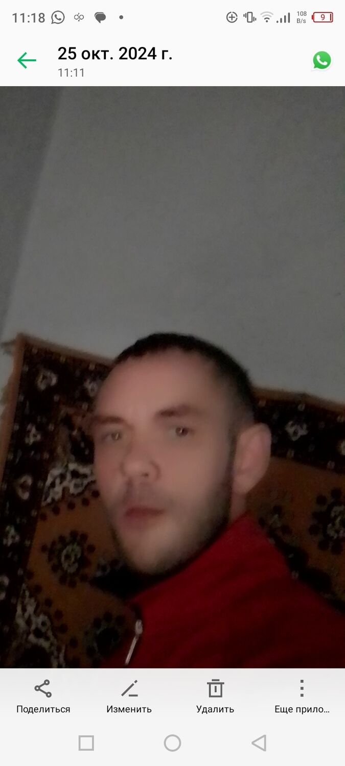  47290478  , 37 ,    