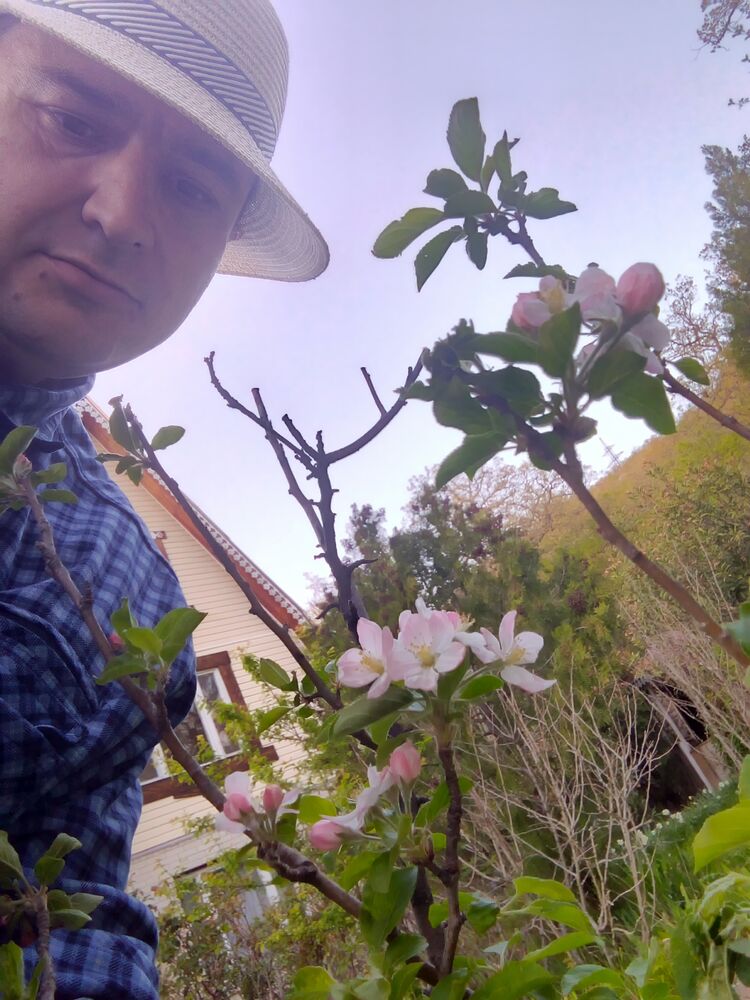 ,   , 41 ,   ,   
