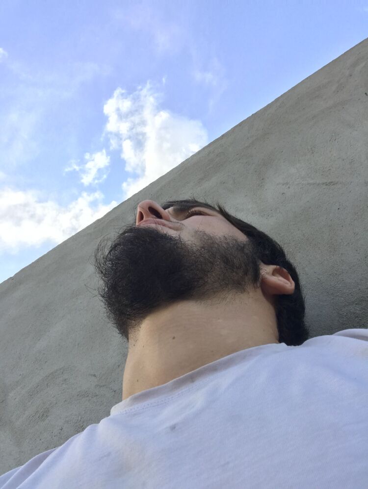  28448258  , 26 ,    