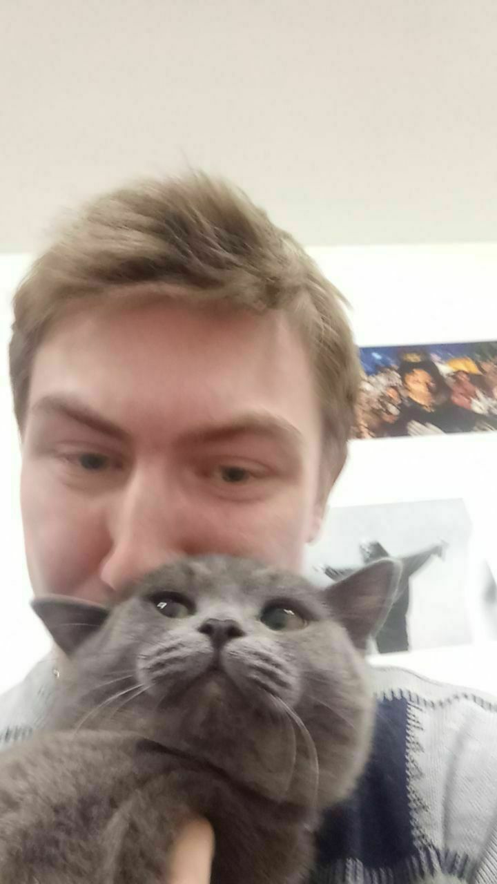 ���� 42991228 ������� �������, 28 ���, ���� ���������� � �������������