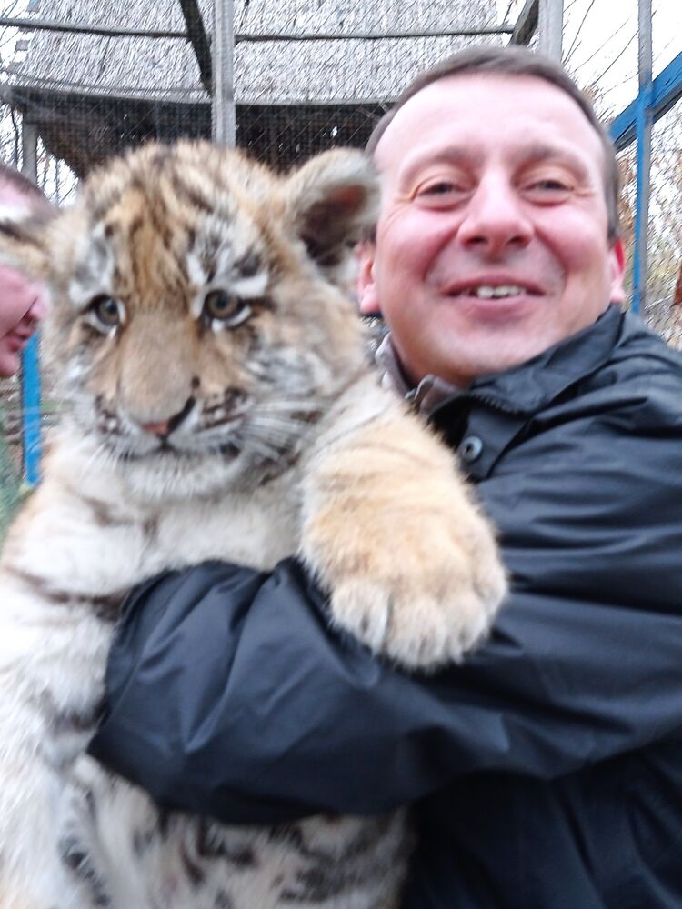 ���� 50942548 ������� �������, 50 ���, ���� ���������� � ���������