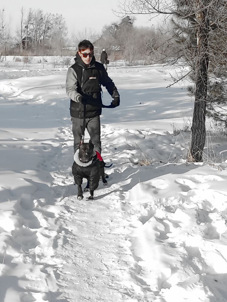 ���� 56009078 ������� ������, 27 ���, ���� ���������� � �������-�������