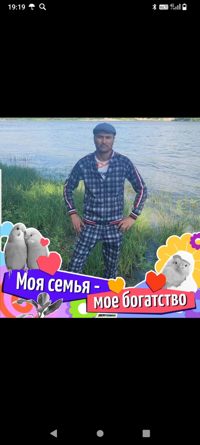 ���� 49061818 ������� �����, 40 ���, ���� ���������� � ������