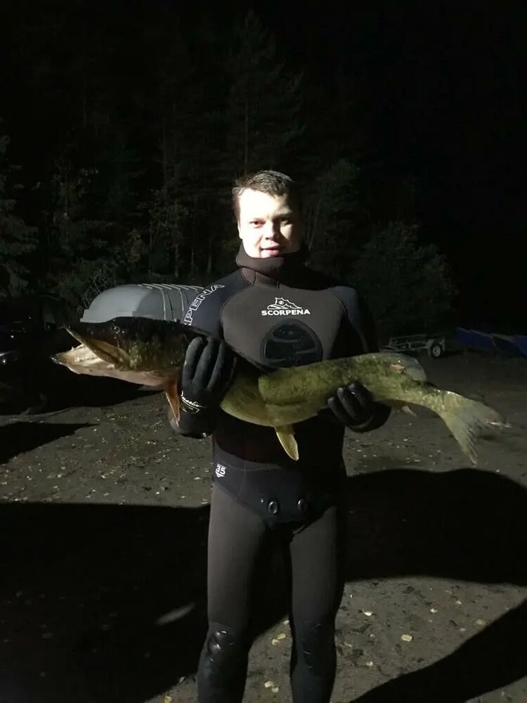 ���������� �����-���������, ���� ������� �����, 36 ���, ������������ ��� ������, ����� � ���������, c�������� ���������, ���������