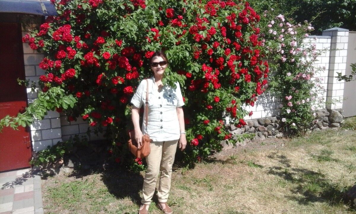  ,   , 62 ,   ,   , c 