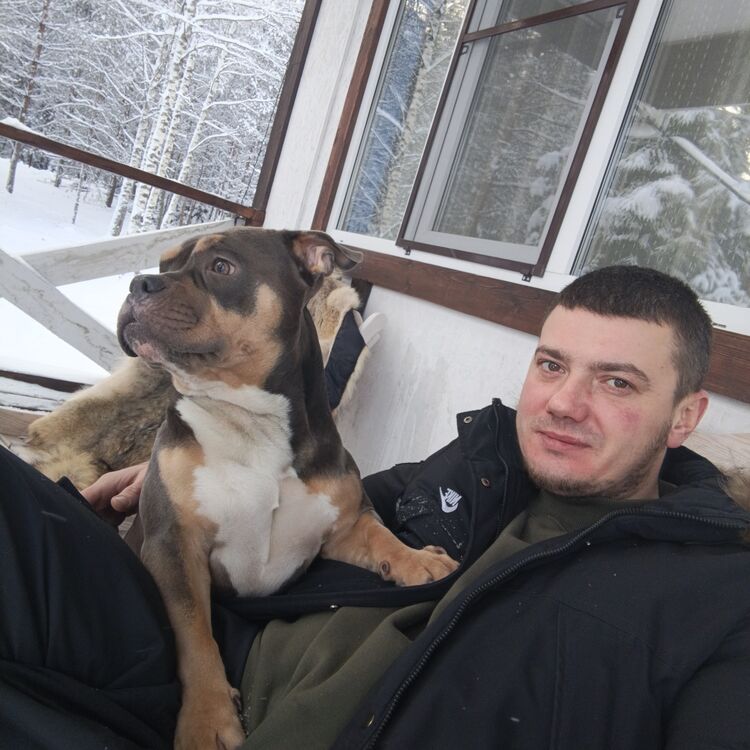 ���� 55693548 ������� Maxim, 34 ����, ���� ���������� � ���������