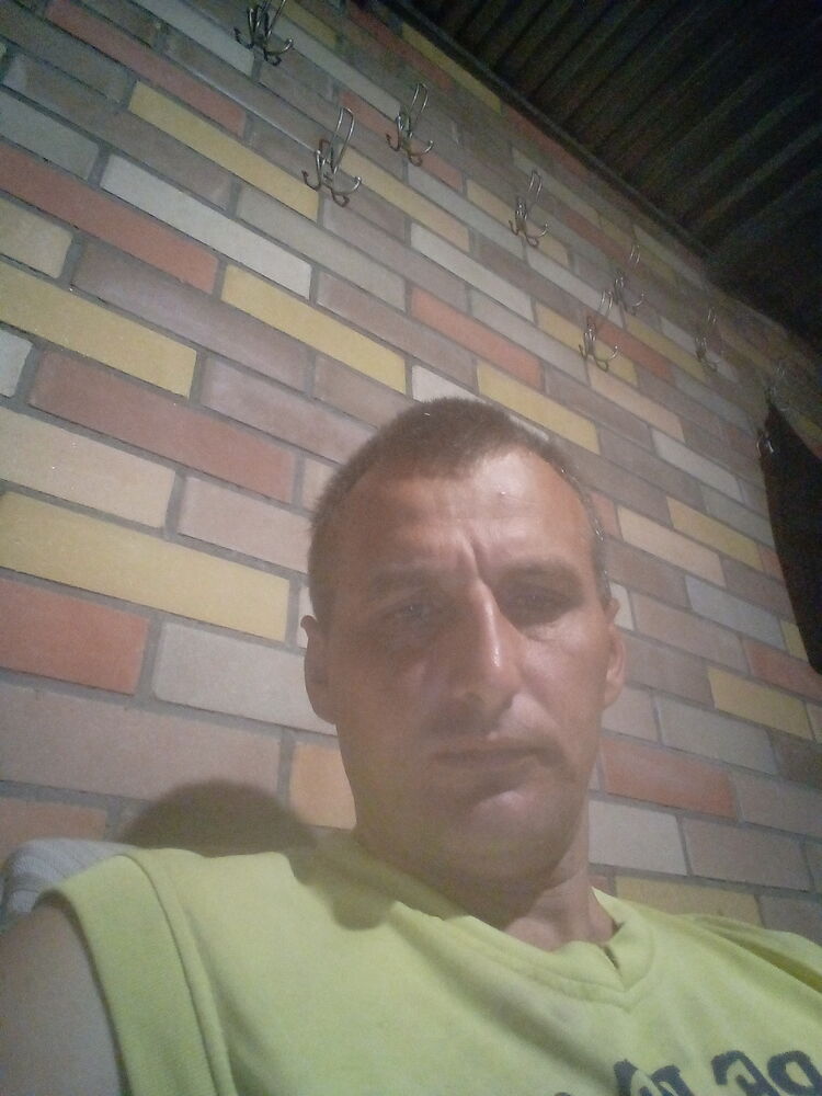  45526878  , 38 ,    
