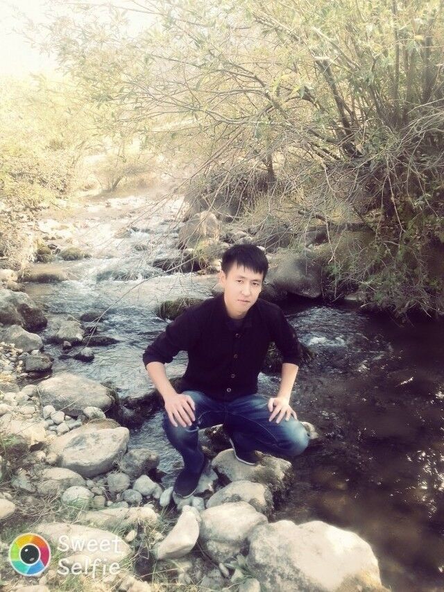 ���� 12214068 ������� ������, 31 ���, ���� ���������� � ��������