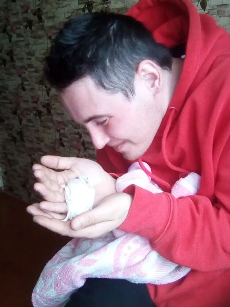 ���� 28994978 ������� Foxi, 27 ���, ���� ���������� � ������������