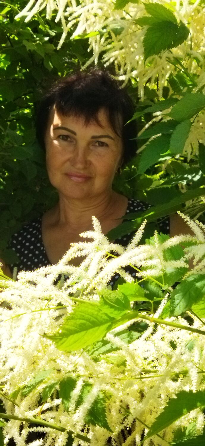 ���������� �����������, ���� ������� ����, 63 ����, ������������ ��� ����� � ���������, c�������� ���������, ���������