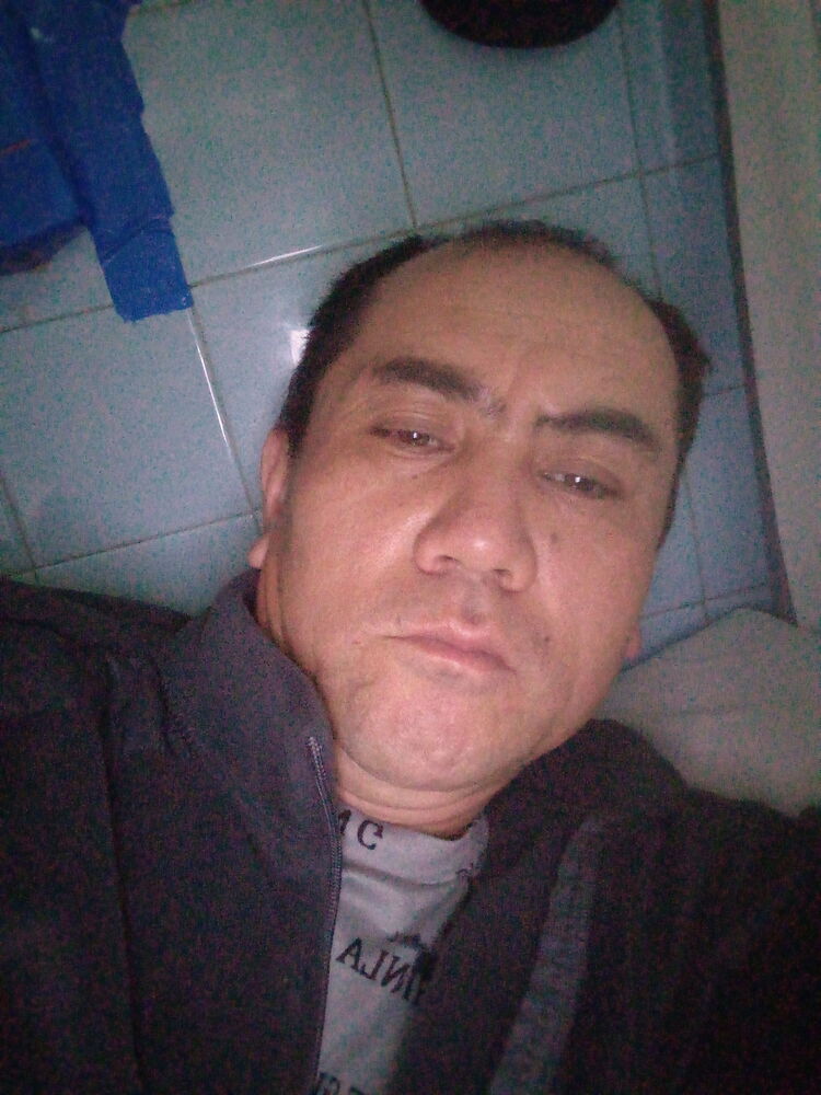 43139308  , 37 ,    