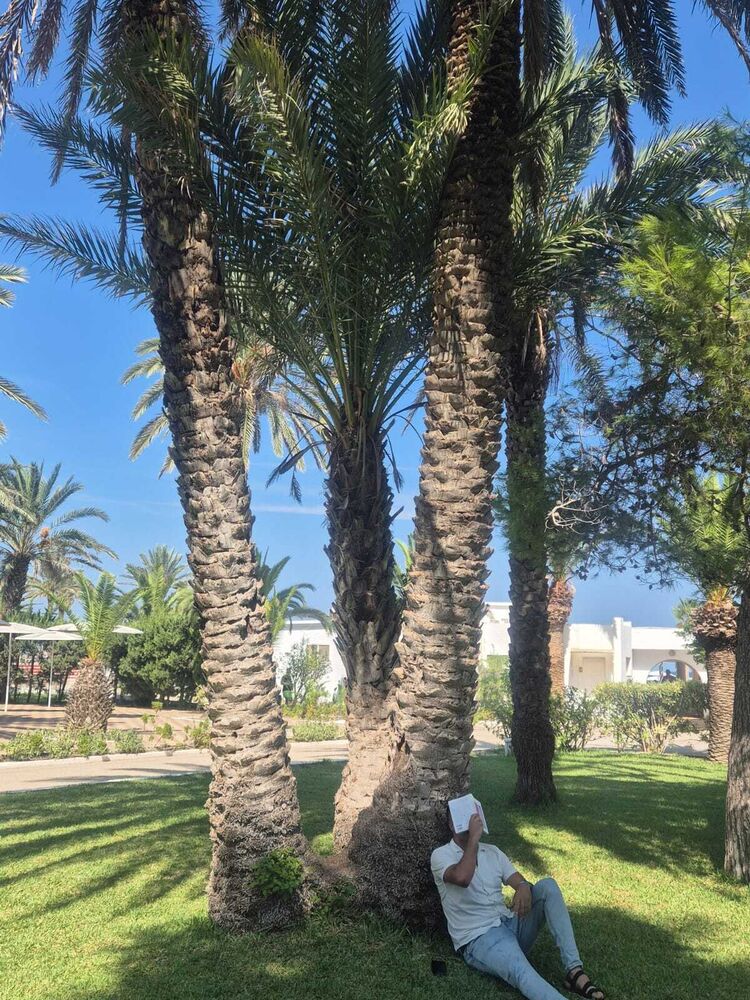  50282478  Lionpedro, 38 ,    Beausejour