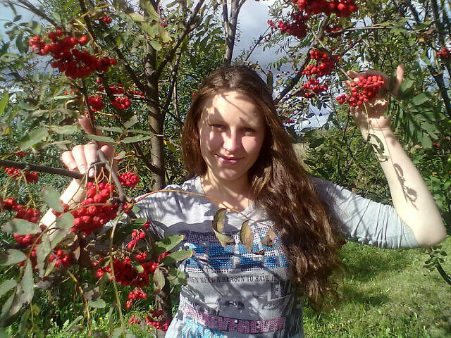  54026558  , 33 ,    -