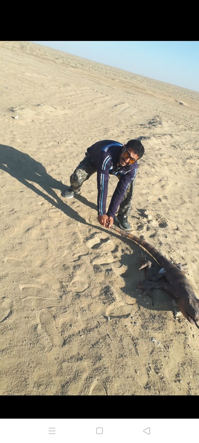 ���������� �����-���������, ���� ������� ���, 38 ���, ������������ ��� ������, ����� � ���������, c�������� ���������, ���������