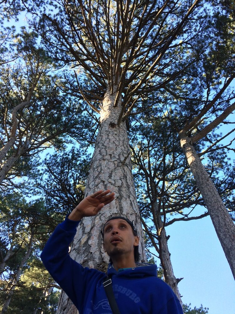 ���������� ������, ���� ������� ����, 34 ����, ������������ ��� ������, ����� � ���������