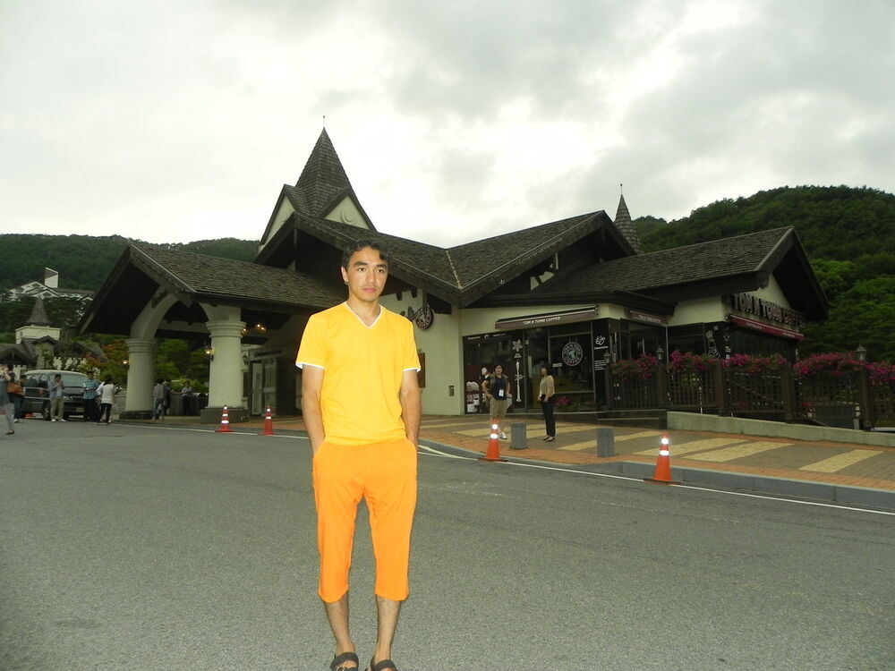  8238288  , 40 ,    -