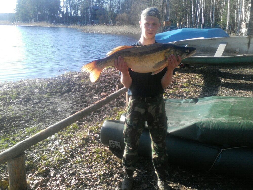 ���� 25016948 ������� �������, 36 ���, ���� ���������� � �����-����������