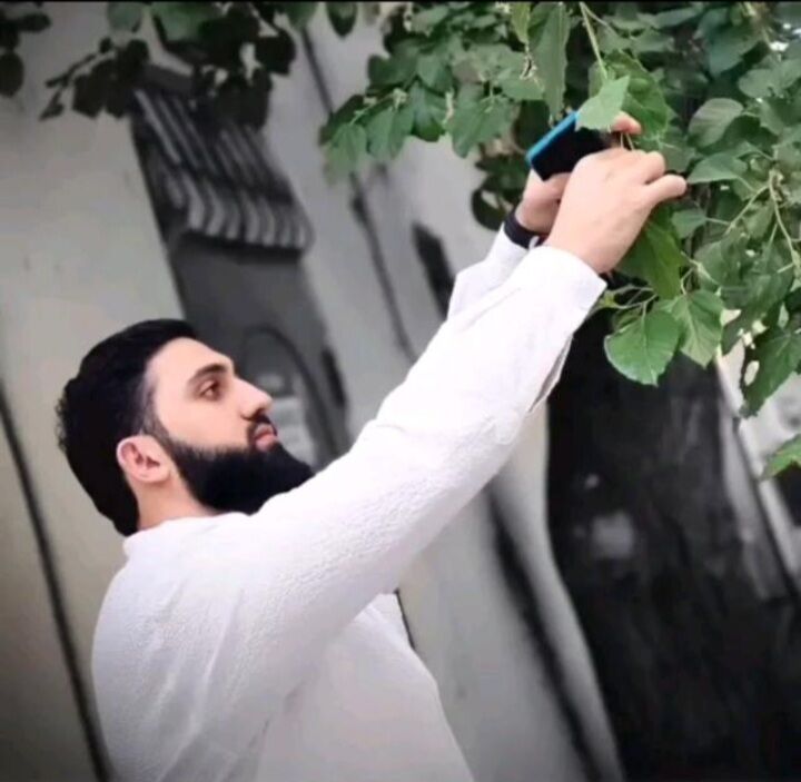 ���������� ������, ���� ������� ����, 28 ���, ������������ ��� ������, ����� � ���������