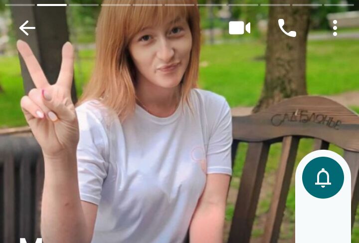  44604028  , 34 ,    