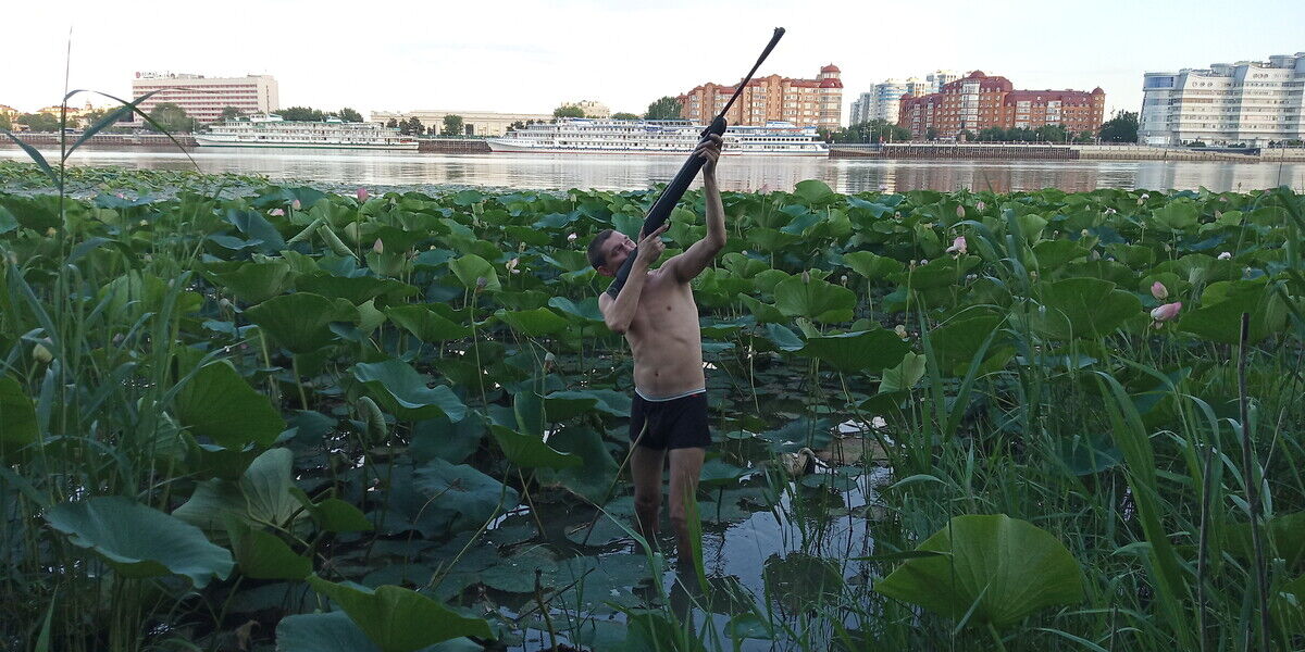 ���������� ���������, ���� ������� �������, 43 ����, ������������ ��� ������, ���������