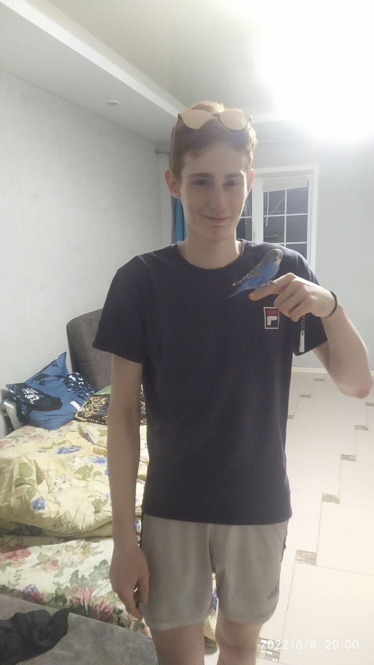  29218838  , 22 ,    
