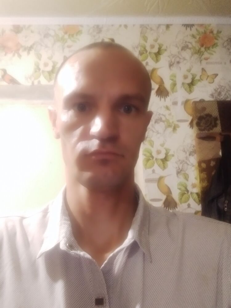  29041038  , 38 ,    