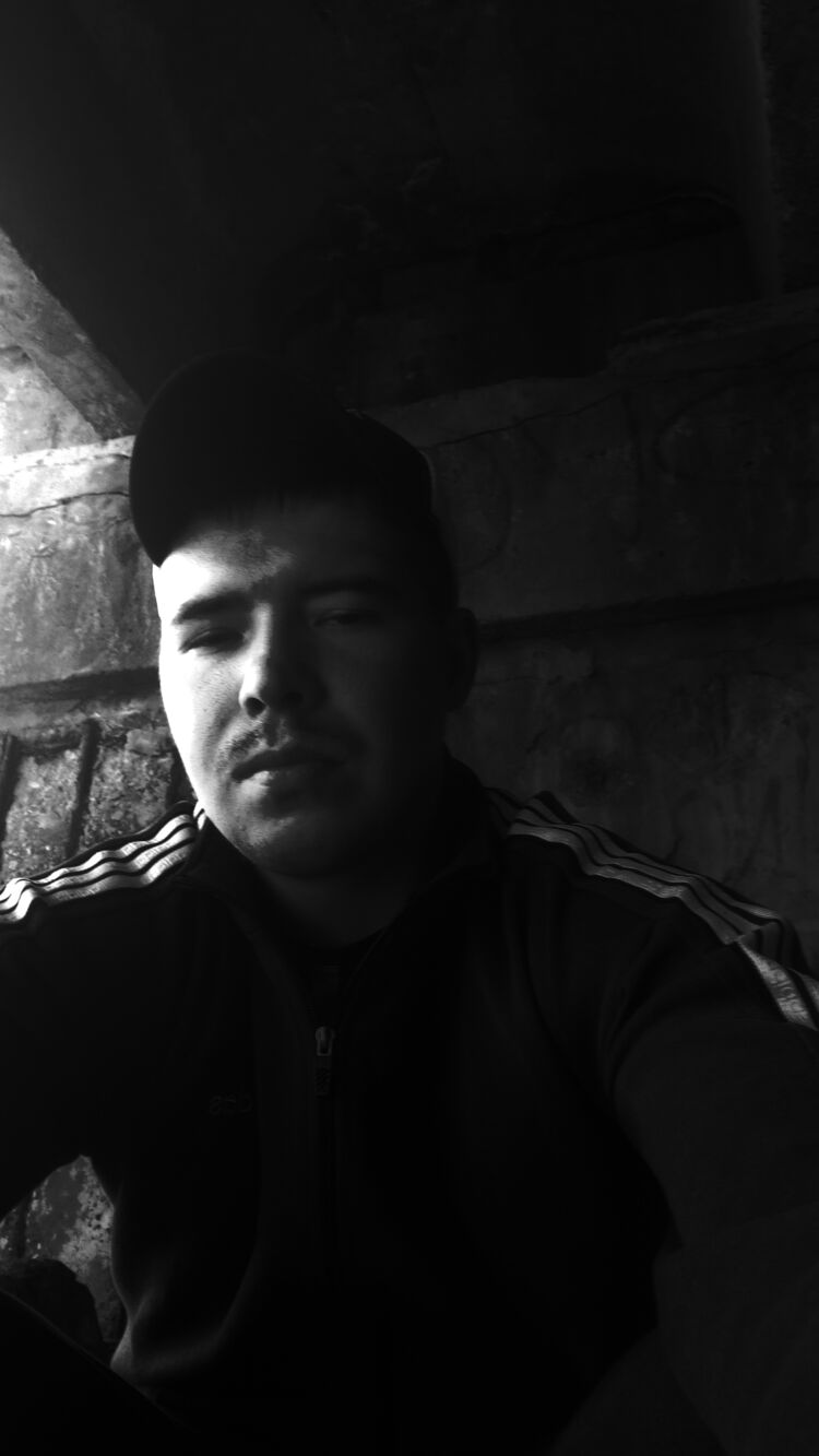  51743138  , 28 ,    