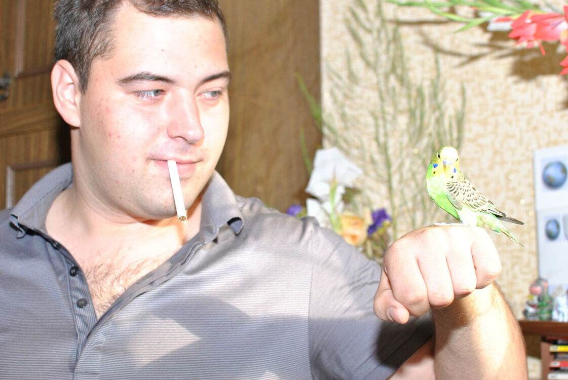 ���������� ������ �����, ���� ������� ������, 37 ���, ������������ ��� ������, ����� � ���������, c�������� ���������