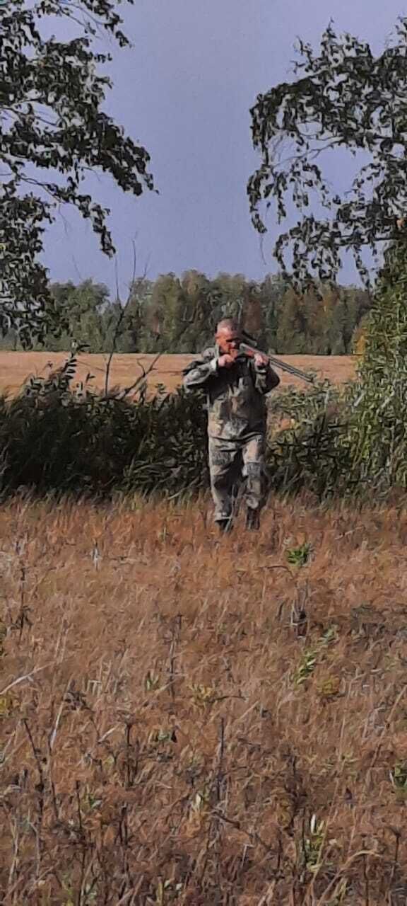  ,   C, 55 ,     , c 