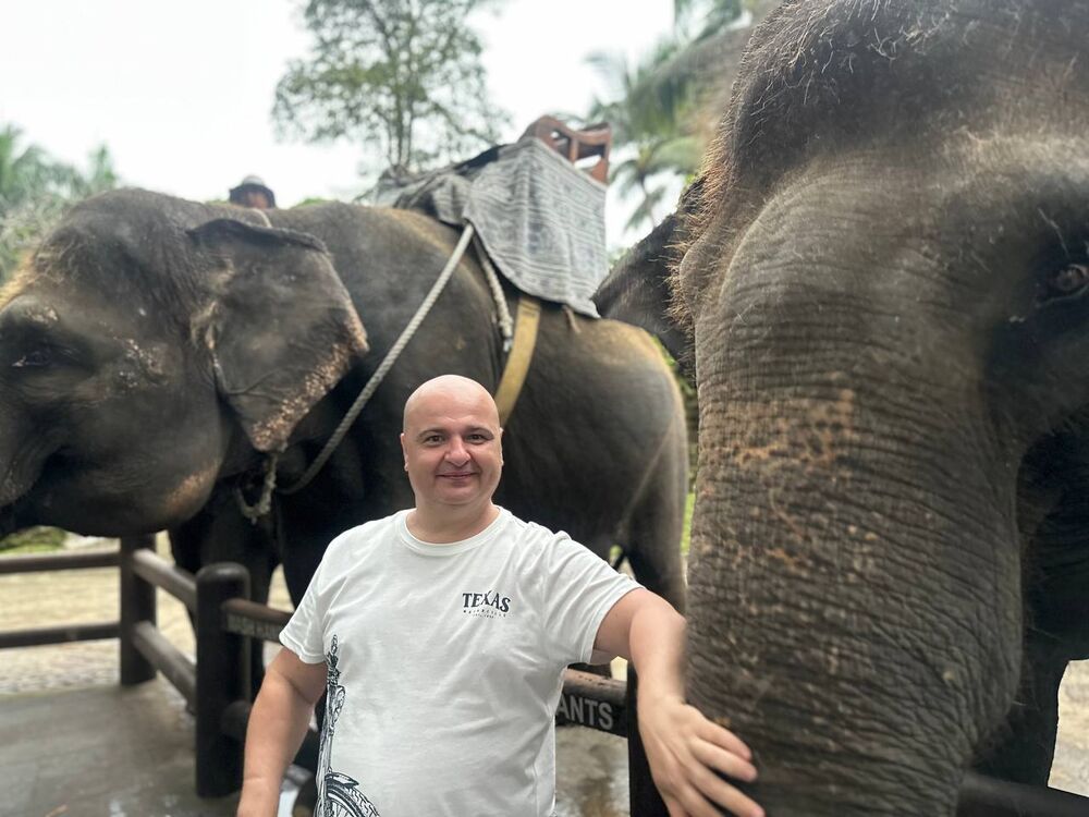  53538678  , 44 ,    Szczytna