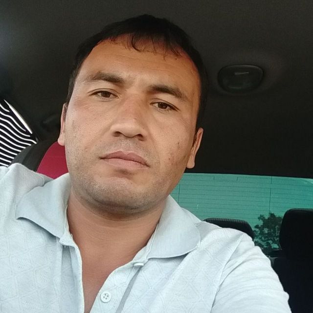  26020478  , 38 ,    