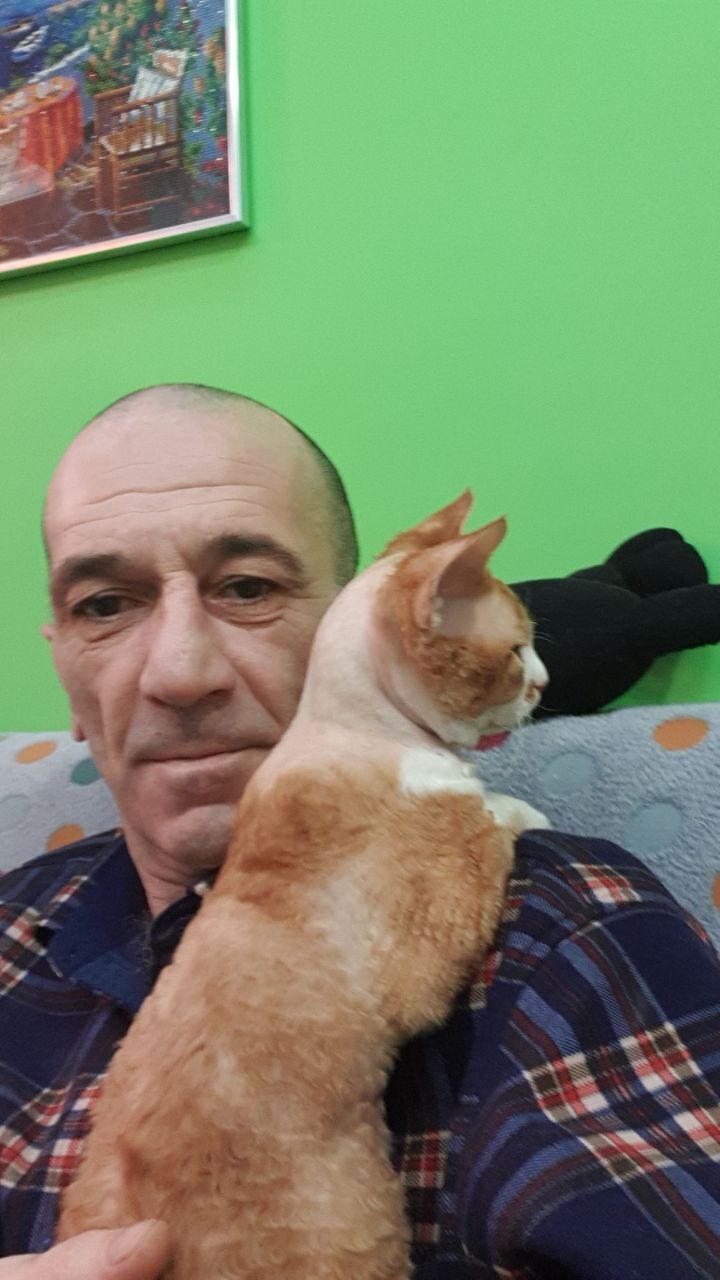  -,   , 51 ,   ,   